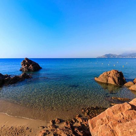 A 10 Min De La Croisette - Pieds Dans La Mer Cannes Eksteriør bilde