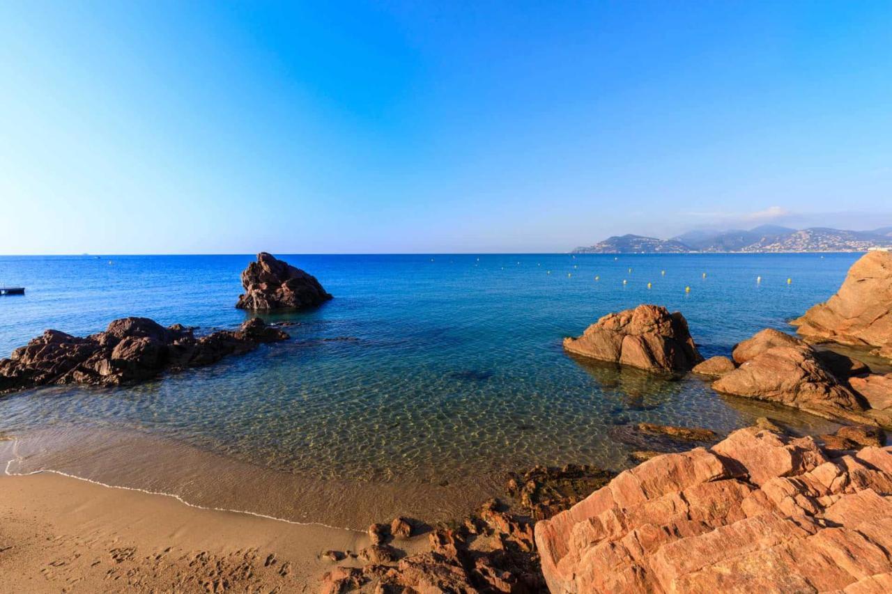 A 10 Min De La Croisette - Pieds Dans La Mer Cannes Eksteriør bilde